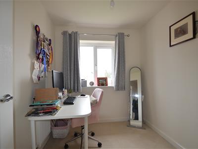 Picture 13